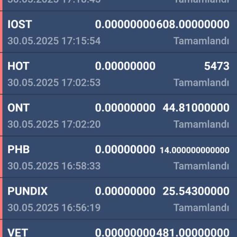 Hesabımdaki Tüm Coinler İzinsiz Transfer Edildi