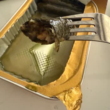 Burcu Yaprak Sarmada Taş Benzeri Cisim Ve Güven Sorunu