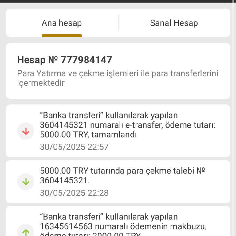 Onaylanan Para Çekimim Hesabıma Yatmadı, Destek Bekliyorum