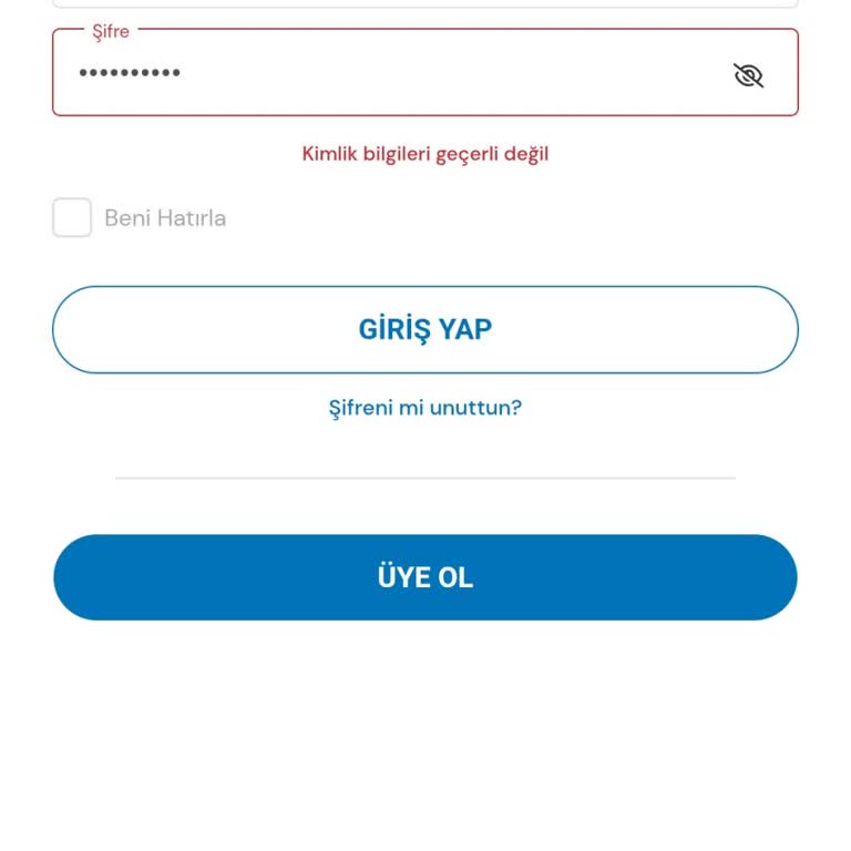 Milli Piyango Online'da Bakiye Ve Giriş Sorunu Yaşıyorum