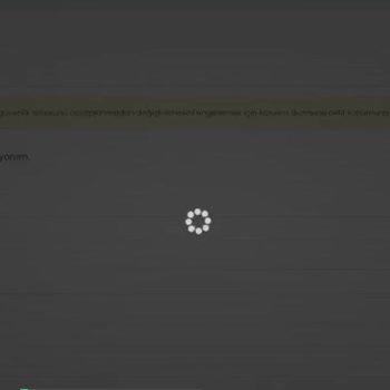 Turkticaret.net DNS Değişikliği Sorunu