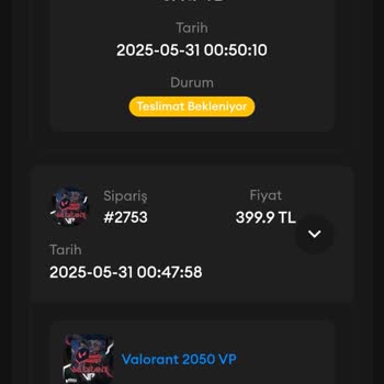 Satın Aldığım VP'ler Teslim Edilmedi, Müşteri Hizmeti Yanıt Vermiyor