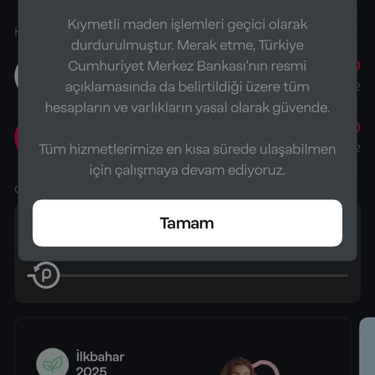 Papara Hesabımdaki Parama Ulaşamıyorum Mağduriyetim Artıyor