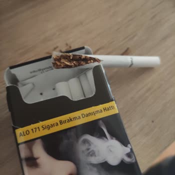 Kısa Parlement Sigaradan Odun Çıkması Ve Kalite Sorunu