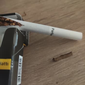 Kısa Parlement Sigaradan Odun Çıkması Ve Kalite Sorunu