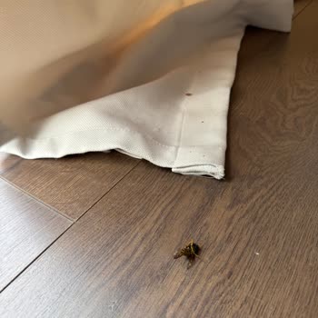 Hayal Kırıklığı: Fotoğraflarla Gerçekler Uyuşmuyor, Temizlik Ve İlgi Sıfır