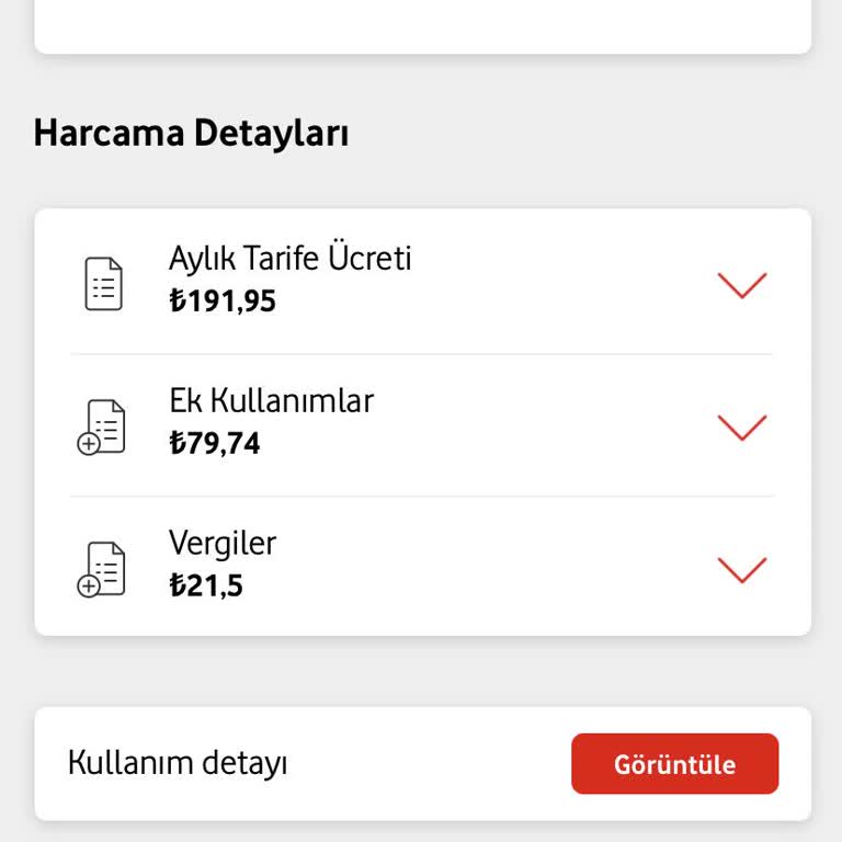 Güncel Borç Ve Kullanım Bilgilerine Erişemiyorum