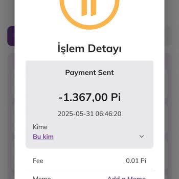 Pi Network Kilitli Coinlerim Anında Başka Hesaba Aktarıldı