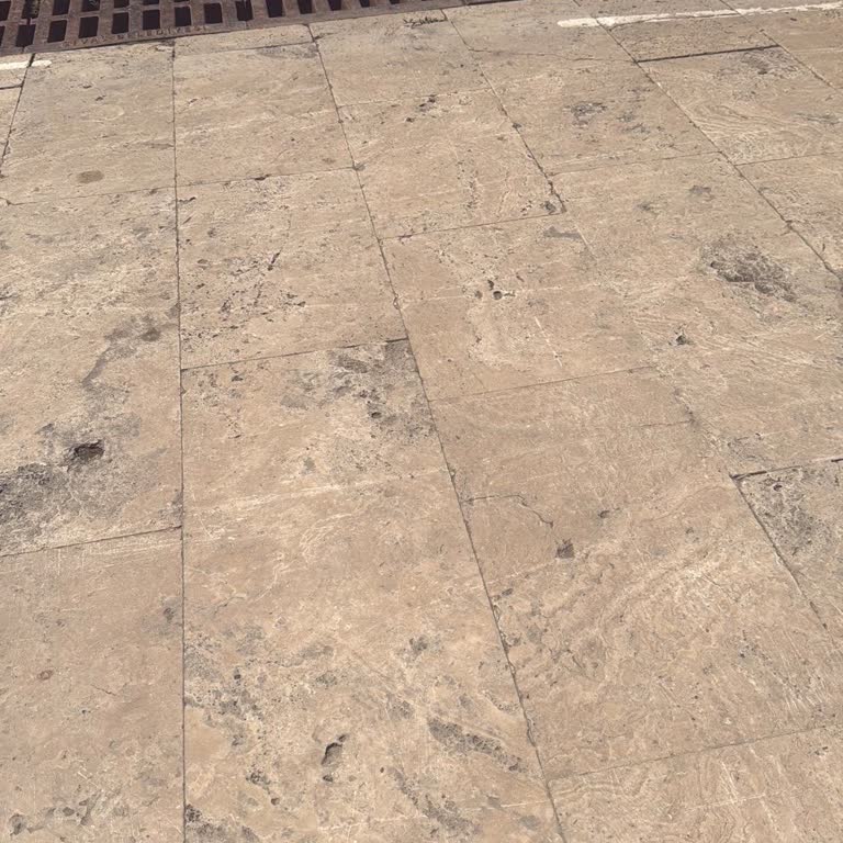 Sigorta İptal Sürecinde Belirsizlik Ve Yetersiz Müşteri Hizmeti