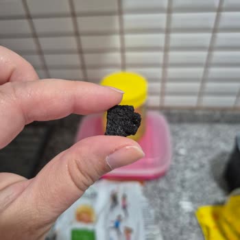 Richland Buğday Patlağında Bilinmeyen Cisim Şoku: Sağlığımız Tehlikede!