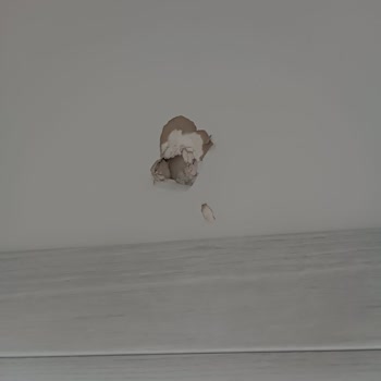 Hasarlı Ve Kirli Koltuk Teslimatı Sonrası İletişim Sorunu Yaşadım