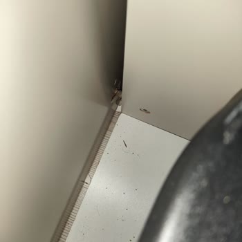 Nirvana Mobilyadan Aldığımız Düğün Paketi Hayal Kırıklığı Yaşattı