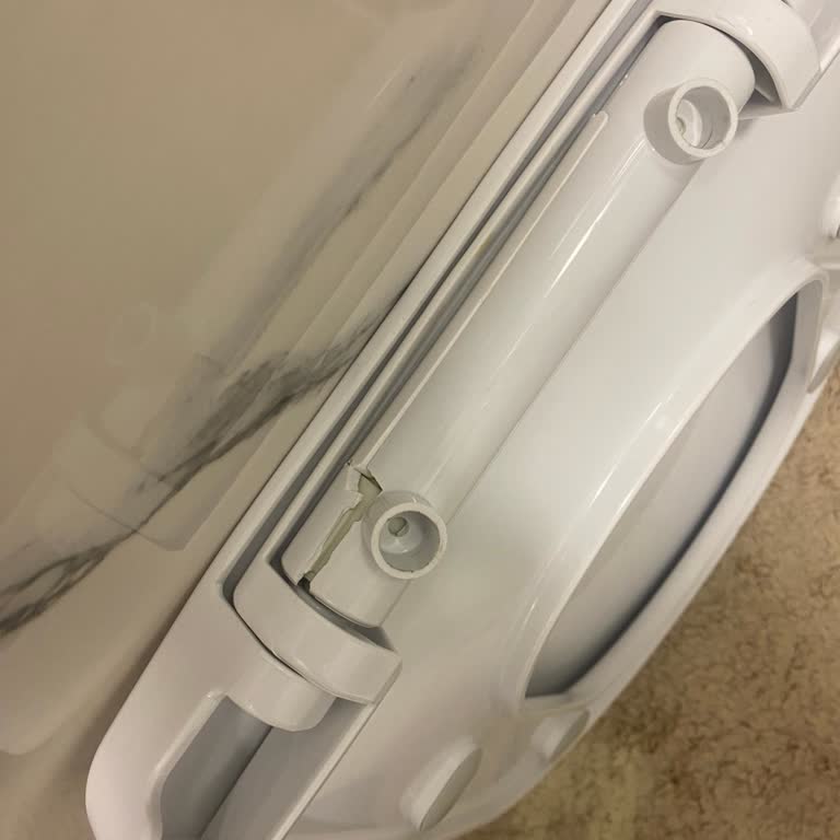 Klozet Kapağı Menteşe Parçası Bulunamıyor, Destek Bekliyorum