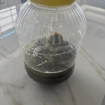 Siparişim Ulaşmadı, Sorularıma Yanıt Yerine Engellendim