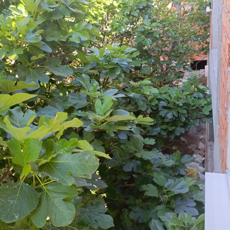 Kasko Hasar Dosyam 16 Gündür Onaylanmadı, Mağdur Ediliyorum