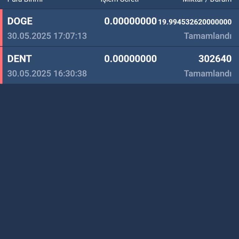Bitexen Hesabımdaki Para İzinsiz Transfer Edildi Mi