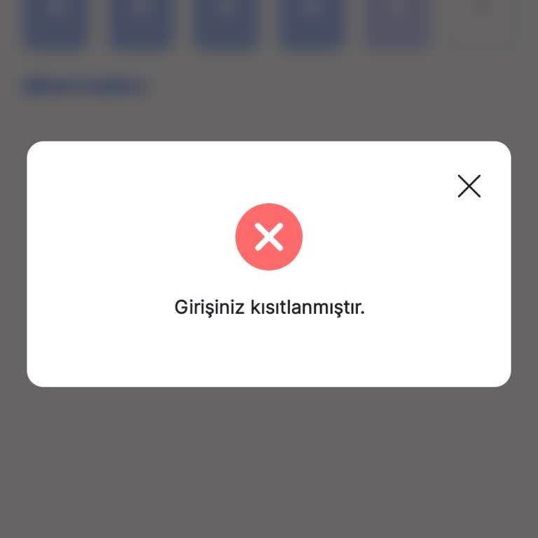 Hesap Kısıtlaması Nedeniyle Parama Ulaşamıyorum, Destek Yetersiz