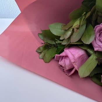 Gönderilen Çiçek Buketi Soluk Ve Cansız Geldi, Ücret İadesi Talebi