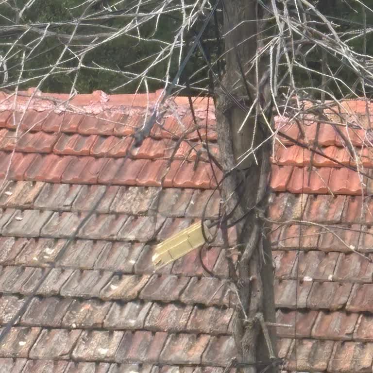 İnternet Bağlantısı İçin Sürekli Oyalama Ve Sorunlu Ekip Hizmeti