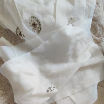 Islak Mendillerde Küf Oluşumu Ve Güvenlik Endişesi