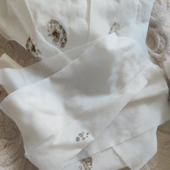 Islak Mendillerde Küf Oluşumu Ve Güvenlik Endişesi