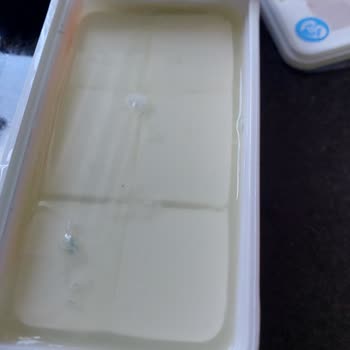 Tarihi Geçmemiş Bahçıvan Süzme Peynirde Küf Şoku