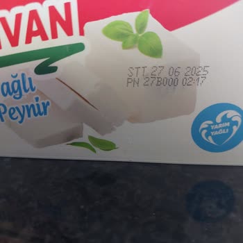 Tarihi Geçmemiş Bahçıvan Süzme Peynirde Küf Şoku