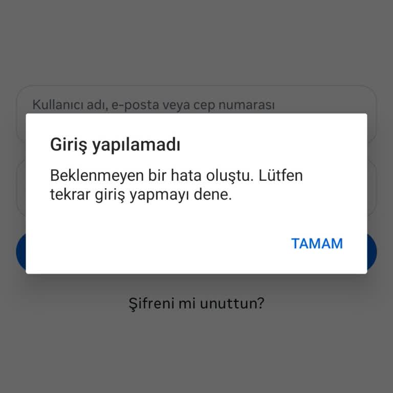 Instagram Hesabıma Erişimde 'Tekrar Deneyiniz' Hatası: Yıllardır Kullandığım Hesabım Tehlikede