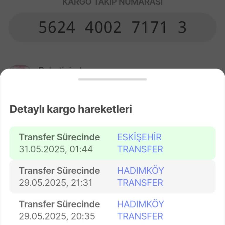 Kargonun Teslimat Süresinin Uzaması Ve İletişim Sorunu