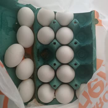 Siparişimdeki Yumurtalar Kırık Ve Parçalanmış Geldi, Müşteri Hizmetlerinden Destek Alamadım