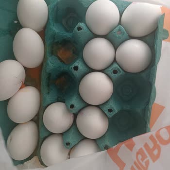 Siparişimdeki Yumurtalar Kırık Ve Parçalanmış Geldi, Müşteri Hizmetlerinden Destek Alamadım