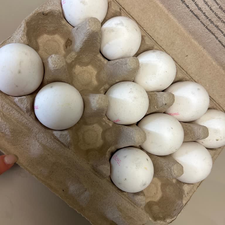 Satın Aldığım Yumurtanın Bozuk Çıkması Ve Kötü Koku Sorunu