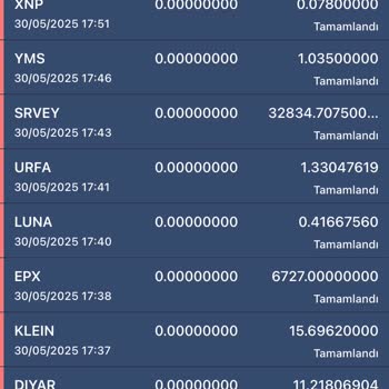 Hesabımdaki Varlıklar Bilgim Dışında Transfer Edildi