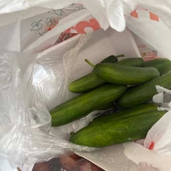 Migroshemen Siparişimde Kırık Yumurta Ve Açılmış Ürünler Mağduriyetim Çözülmüyor