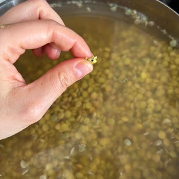 Böceklenmiş Yeşil Mercimek Ve İlgisiz Müşteri Hizmeti