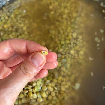 Böceklenmiş Yeşil Mercimek Ve İlgisiz Müşteri Hizmeti