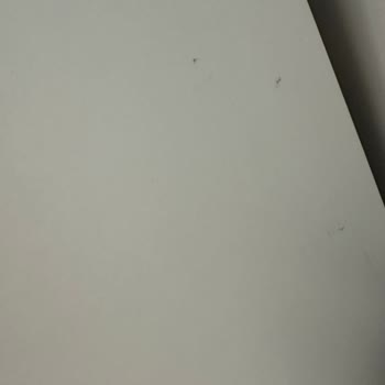 Ezik Ve Çizikli Mobilyalar, Sorumsuz Servis Deneyimi