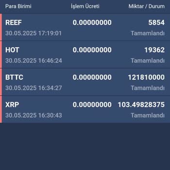 Hesabımdaki Tüm Bakiyem İzinsiz Transfer Edildi Ve Sıfırlandı