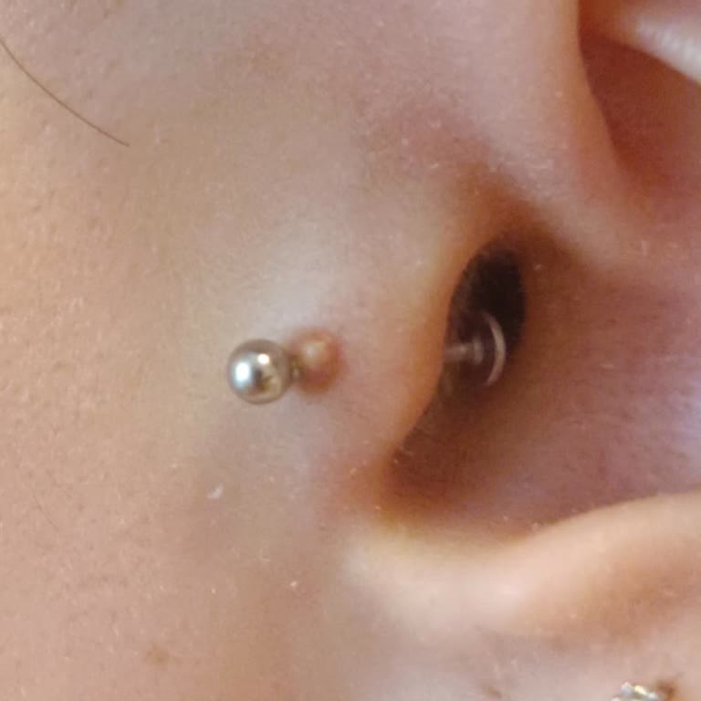 Cleopatra Ink Piercing Sonrası Bakım Eksikliği Ve İletişim Sorunları Yaşadım!
