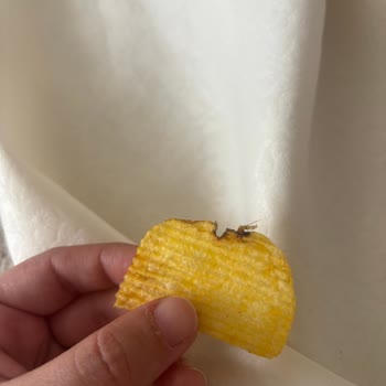 Ruffles Cips Paketinde Tuhaf Cisimler Ve Mide Bulantısı Yaşadım
