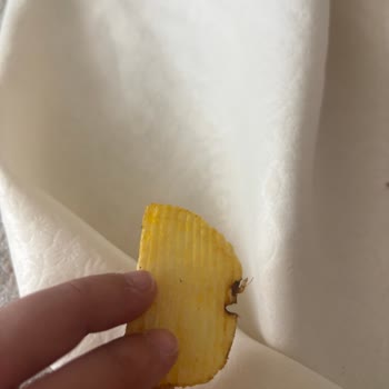 Ruffles Cips Paketinde Tuhaf Cisimler Ve Mide Bulantısı Yaşadım
