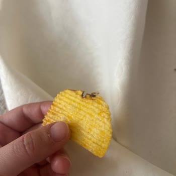 Ruffles Cips Paketinde Tuhaf Cisimler Ve Mide Bulantısı Yaşadım
