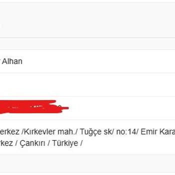 Sürat Kargo'da Yanlış Adres Ve Teslimat Sorunu: Şubede Bekletilen Ürünümle İlgili Mağduriyet