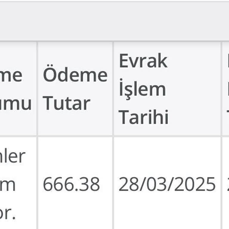 Rapor Parası Ödemesi Gecikiyor Ve Bilgi Hatası Yaşanıyor