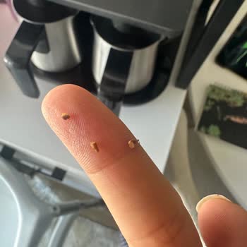 Antebella Ürününde Yabancı Madde Şoku: Çocuğumun Sağlığı Tehlikeye Girdi