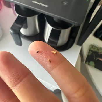 Antebella Ürününde Yabancı Madde Şoku: Çocuğumun Sağlığı Tehlikeye Girdi