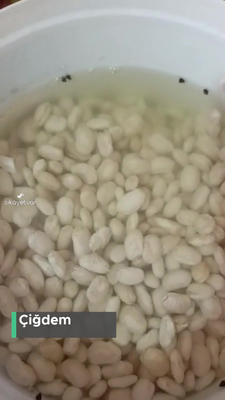 Aile Sosyal Hizmetler Bakanlığı Ramazan Kolisinden Çıkan Fasulye videonun kapak resmi