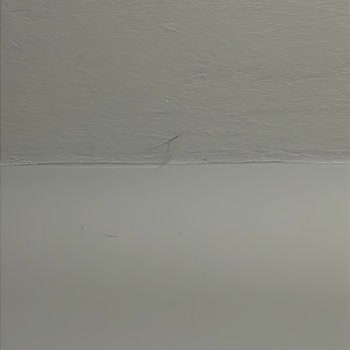 Ev Temizliği Sonrası Eksik Ve Özensiz Hizmetle Hayal Kırıklığı Yaşadım