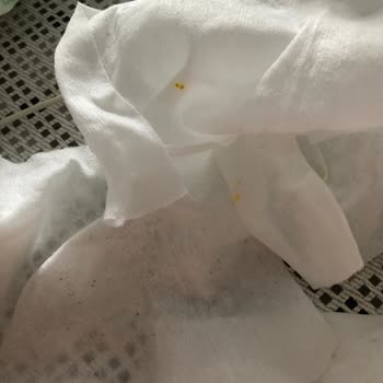 Küflü Ve Lekeli Sleepy Islak Mendil Hayal Kırıklığı
