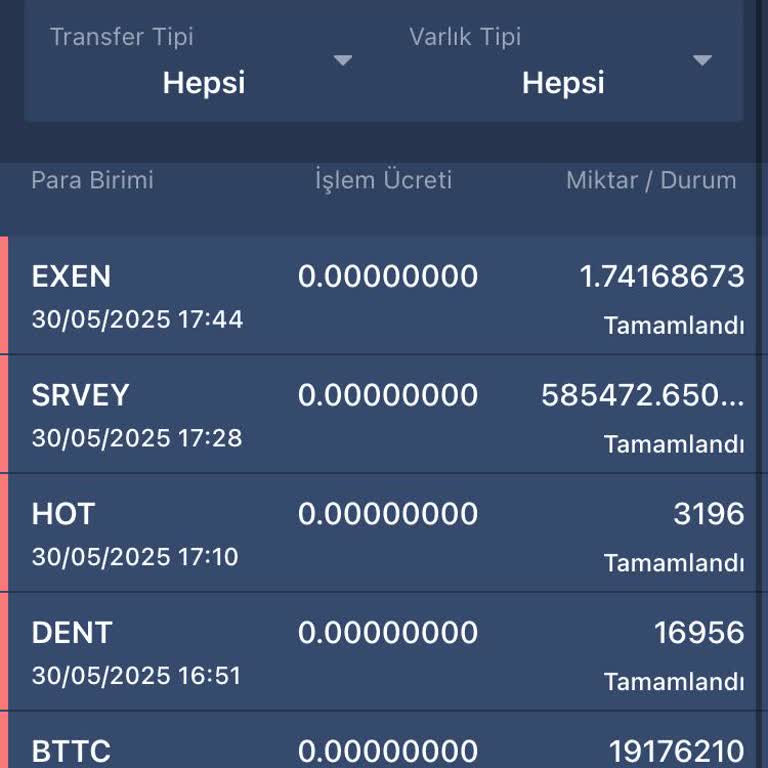Hesabımdaki Tüm Varlıklar İzinsiz Şekilde Transfer Edildi